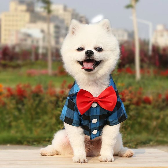 Fashion dog and cat shirts, plaid bow tie shirts. - Picture 3 of 9